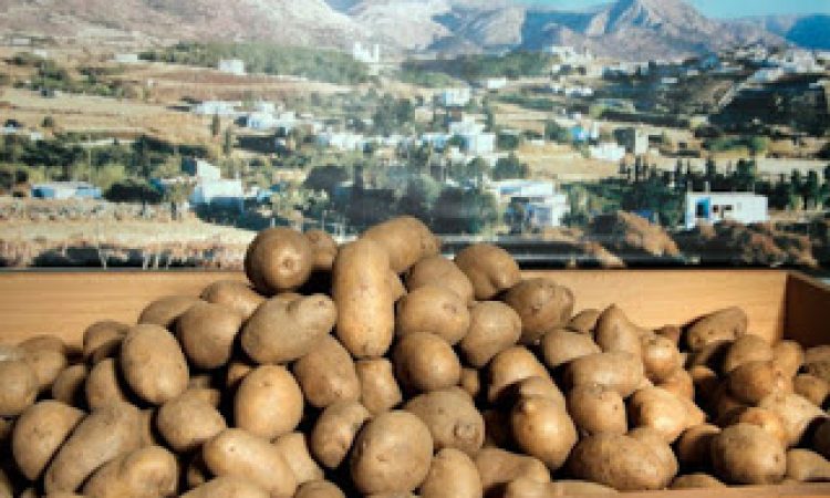 Η ιστορία της … πεντανόστιμης πατάτας